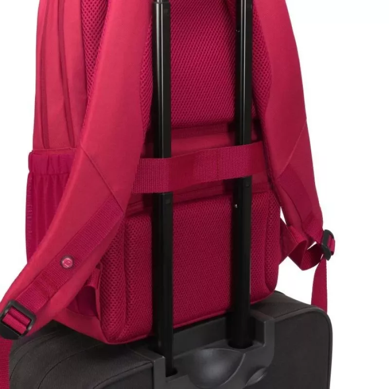 Dicota Eco Seljakott SCALE 13-15.6 PUNANE