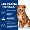 HILL'S Prescription Diet Derm Complete - kuiv koeratoit - 1,5kg