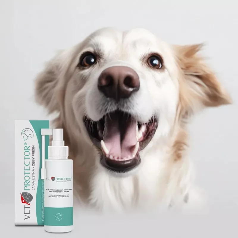 Suuhoolduslahus JM Sante Vet Protector Fresh 100 ml koertele ja kassidele, hambakivi ennetamine