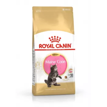 ROYAL CANIN Maine Coon Kitten- kuiv kassitoit - 4 kg