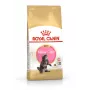 ROYAL CANIN Maine Coon Kitten- kuiv kassitoit - 4 kg