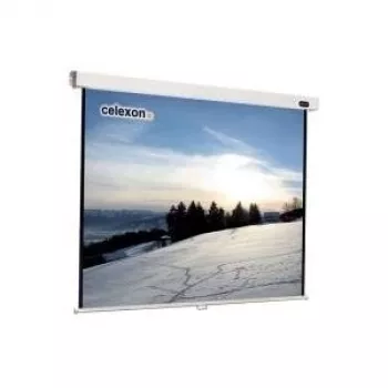 Celexon Professional manuaal - Ekraan - Lakke paigaldatav, sobib seinale kinnitamiseks - 304 cm (120) - 1:1 - Valge (1090045)