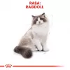 Kuiv kassitoit Royal Canin Ragdoll Adult 2 kg — kana, 32% valku, 18% rasva