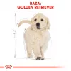 Royal Canin Golden Retriever Puppy kuivtoit koertele, 12 kg