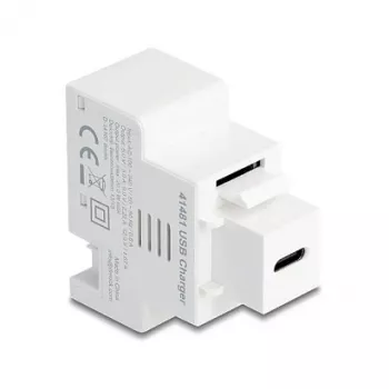 DELOCK Keystone-moodul USB-C PD 20W laadimispesaga, valge