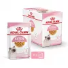 Märg kassitoit Royal Canin Kitten Gravy 85 g — linnuliha, 78% niiskust, 12% valku