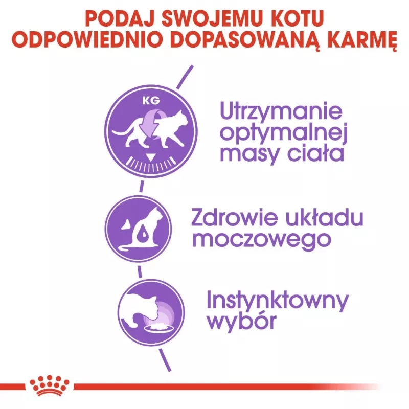 ROYAL CANIN FHN Sterilised kastmes - märg toit täiskasvanud kassidele - 12x85g