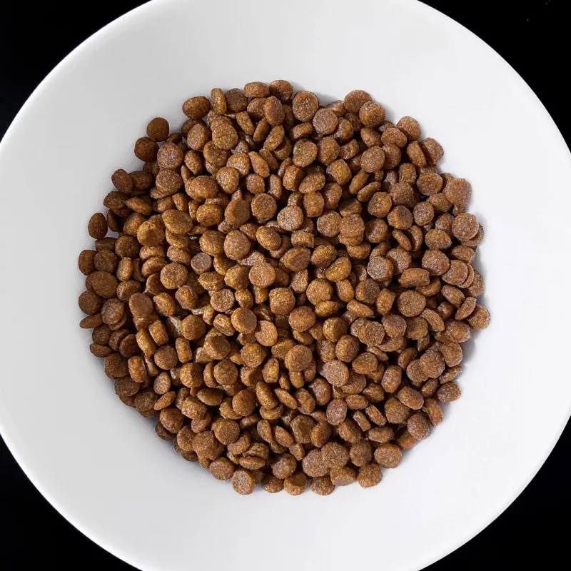 VET RESPONSE Gastrointestinal - kuiv kassitoit - 400g