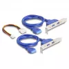 DeLOCK 61066 sisemine USB 3.2 Gen 1 adapter M.2 isane must
