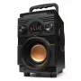 Squeak Bassblaster Bluetooth 5.1 kõlar, FM-raadio, MP3-mängija SQ1001