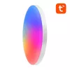 Nutikas laelamp Gosund LB13, 30 cm läbimõõt, Bluetooth-juhtimine, 1600 lm