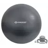 Schildkröt Fitness 960158 harjutuskuul 85 cm Hall täissuuruses