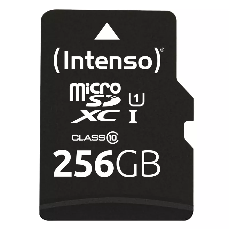 Välkmälu Intenso 256GB UHS-I microSD Performance Class 10