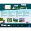Ravensburger CreArt numbrite järgi maalimise komplekt Landhaus am Fluss (Maja jõe ääres)