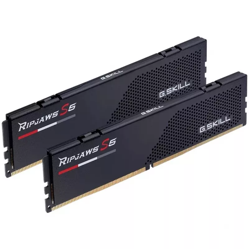 G.Skill F5-6000J3036F24GX2-RS5K mälumoodul 48 GB 2 x 24 GB DDR5 5600 MT/s