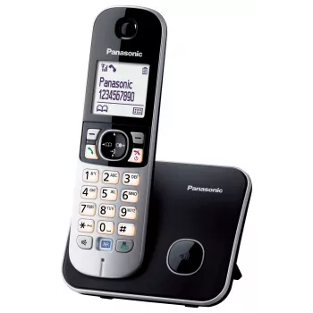 DECT telefon Panasonic KX-TG6811GB