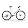 Sharp Gravel E-Bike 250W mootor rakendusega 70km valge läikiv