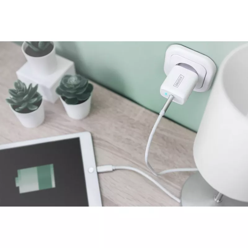 Digitus - Toiteadapter - 20 W - 3 A - PD 3.0 (USB-C) - Valge (DA-10196)
