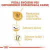 Royal Canin Bulldog Adult kuivtoit koertele, 12 kg