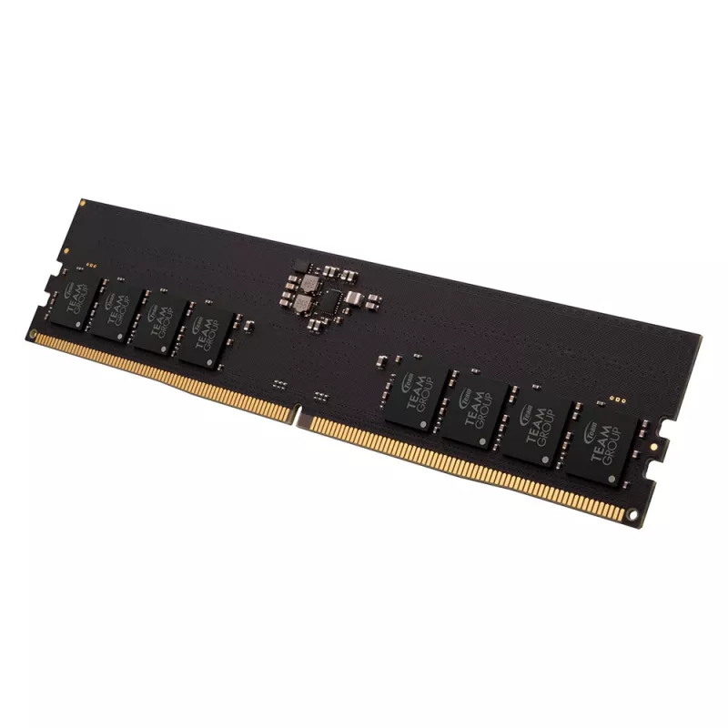 16GB Team Group RAM Team D5 6000 CL48 Elite (TED516G6000C4801)