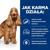 HILL's Prescription Diet Food Sensitivites z/d - kuiv koeratoit - 10 kg