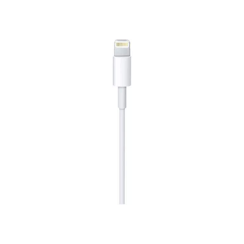 Apple USB-C to Lightning kaabel (1 m)