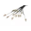 Breakout kaabel Digitus DK-2433CU030BK-BBB 30m OM4 12 Fibers LC/UPC