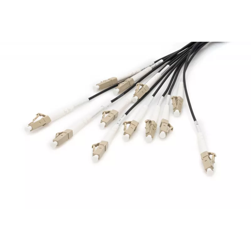 Breakout kaabel Digitus DK-2433CU030BK-BBB 30m OM4 12 Fibers LC/UPC