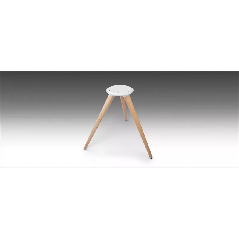 Muse ML-655 BT kaasaskantav Bluetooth-kõlar