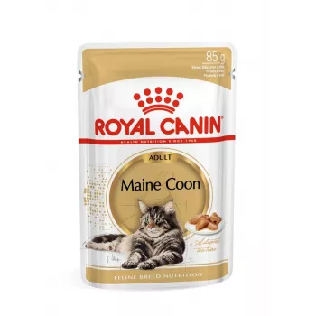 ROYAL CANIN FBN Maine Coon - kassikonserv - kotike 12x 85g