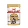 ROYAL CANIN FBN Maine Coon - kassikonserv - kotike 12x 85g