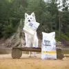 RAW PALEO Ultra Medium&Large täiskasvanud kalkuniga - kuiv koeratoit - 10 kg