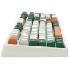 Mehaaniline juhtmevaba klaviatuur CANYON Shadder GKW-11 RGB valge