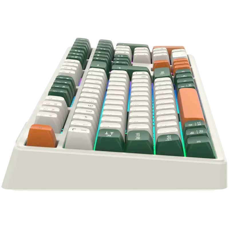 Mehaaniline juhtmevaba klaviatuur CANYON Shadder GKW-11 RGB valge