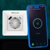 Tellur TLL331531 nutikas WiFi seinapistik — 3600 W, 16 A, WiFi-kaugjuhtimine
