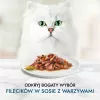Purina GRMT PERLE GIGMV BEEF CRT kasside märgtoit 85 g