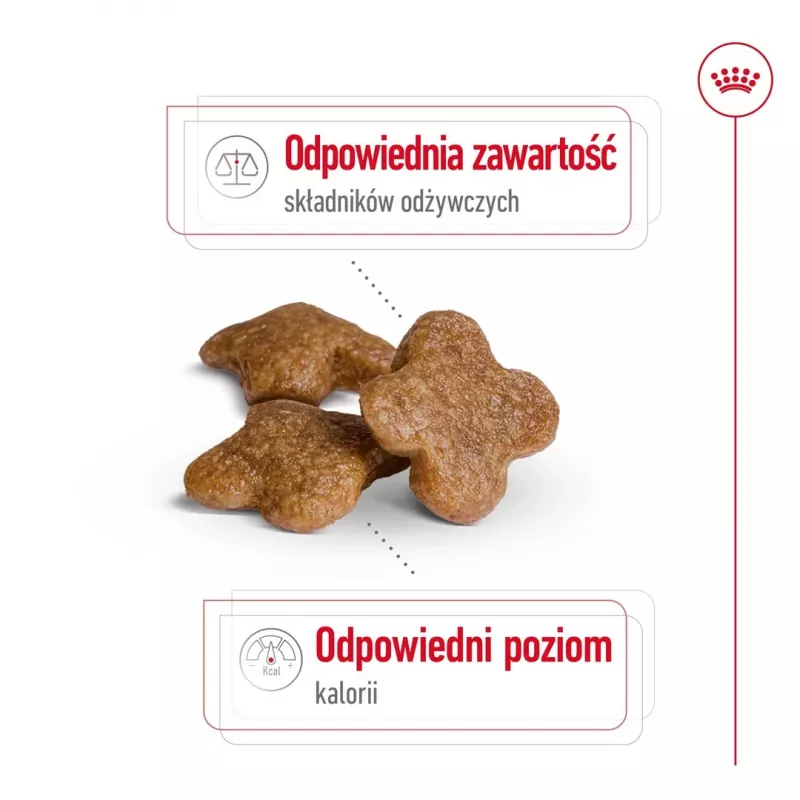 Kuiv koeratoit Royal Canin Mini Adult 8+ 2 kg — väikesed tõud 5–10 kg, linnuliha, kehakaalu kontrolli valem