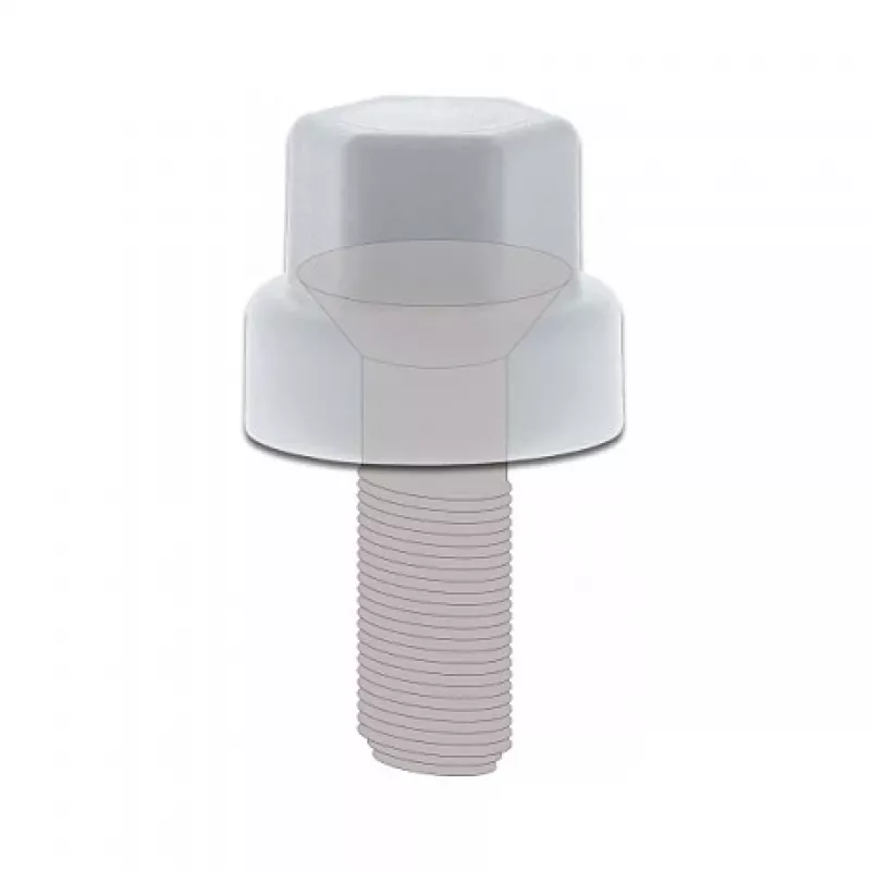 Kaitsekork kuuskantpeaga kruvile M6 DeLOCK 60249