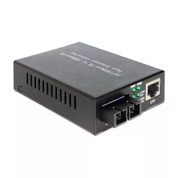 Võrgumeediakonverter DeLOCK 86216