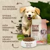 Kuiv koeratoit VETEXPERT Raw Paleo Healthy Grain Puppy lõhe ja oder 10 kg, valk 29% rasv 17% niiskus 9%