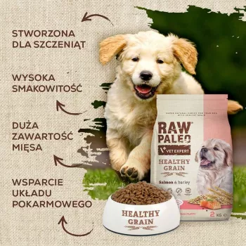 Kuiv koeratoit VETEXPERT Raw Paleo Healthy Grain Puppy lõhe ja oder 10 kg, valk 29% rasv 17% niiskus 9%