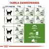 Royal Canin Outdoor kuiv kassitoit 2 kg