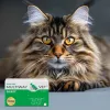 Pehmed geelist keeramisega avatavad kapslid JM Sante Multiway Vet karvkate ja nahk koertele ja kassidele 60 tk, 150 g