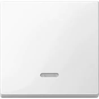 Valguslüliti Merten 436019 — termoplastist valge, nuppjuhtimine, ühekohaline