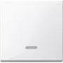 Valguslüliti Merten 436019 — termoplastist valge, nuppjuhtimine, ühekohaline