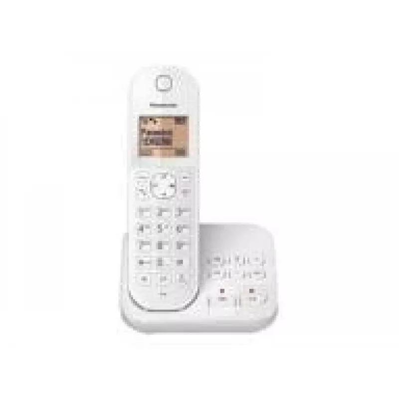 DECT-telefon Panasonic KX-TGC420