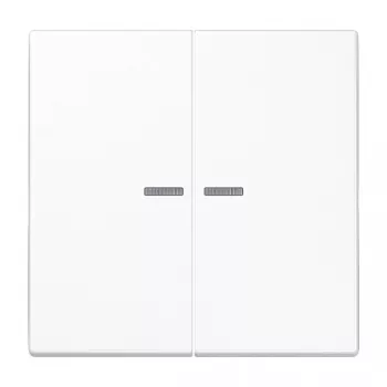 Seinakate / lülitikate JUNG LS102KO5WW, plastik, kruvideta, 1 tk