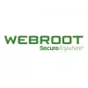 Webroot | DNS Protection with GSM Console | 2 aasta(t) | Litsentsikogus 10-99 kasutaja(t)
