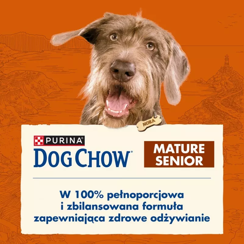 Kuiv koeratoit Purina Nestlé Dog Chow Mature Senior lambalihaga 14 kg, 24% valku, 10% rasva