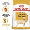 Royal Canin BHN Labrador Adult kuiv koeratoit, 12 kg